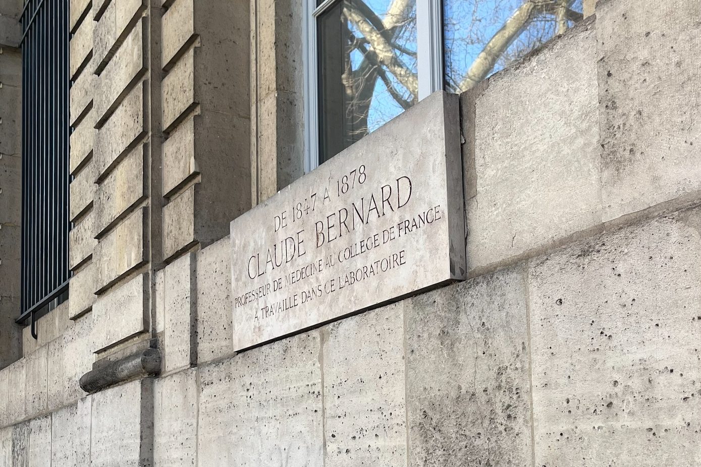 Claude Bernard lab, Paris - 04.jpeg